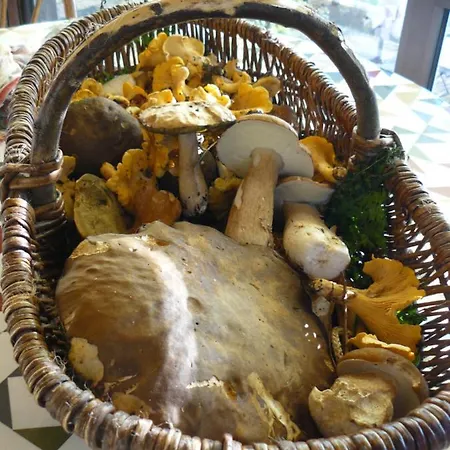 Bed & Breakfast Chambre De Madel