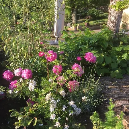 Bed & Breakfast Chambre De Madel Domme