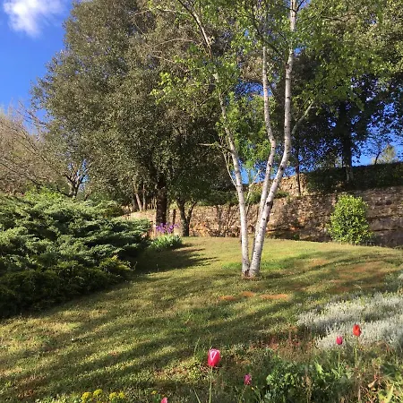 Bed & Breakfast Chambre De Madel Domme